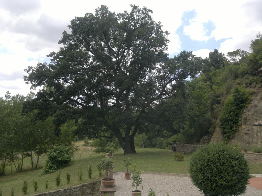 Villa Loghino Βολτέρρα Εξωτερικό φωτογραφία